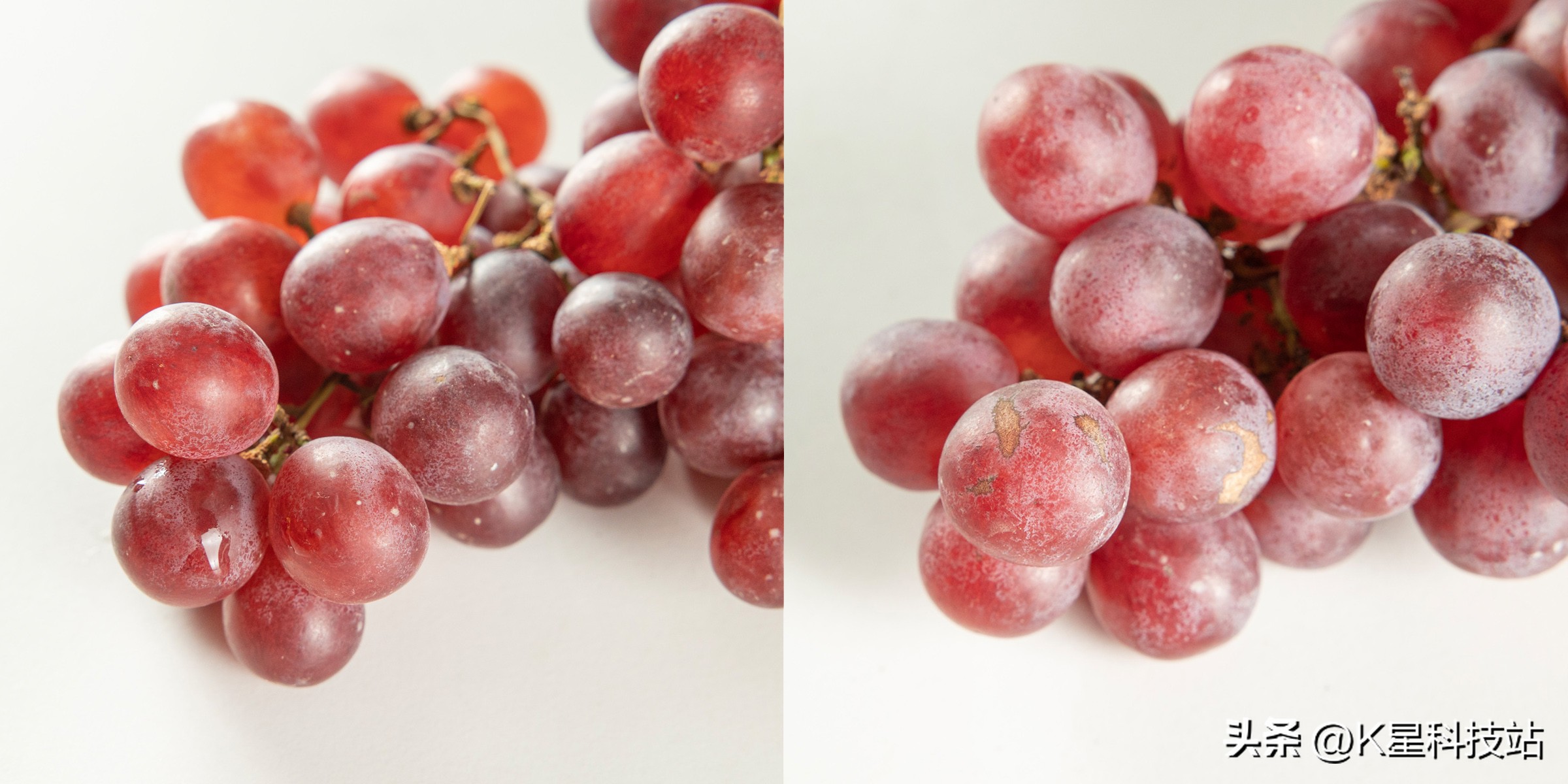 变温空间,变温空间是什么