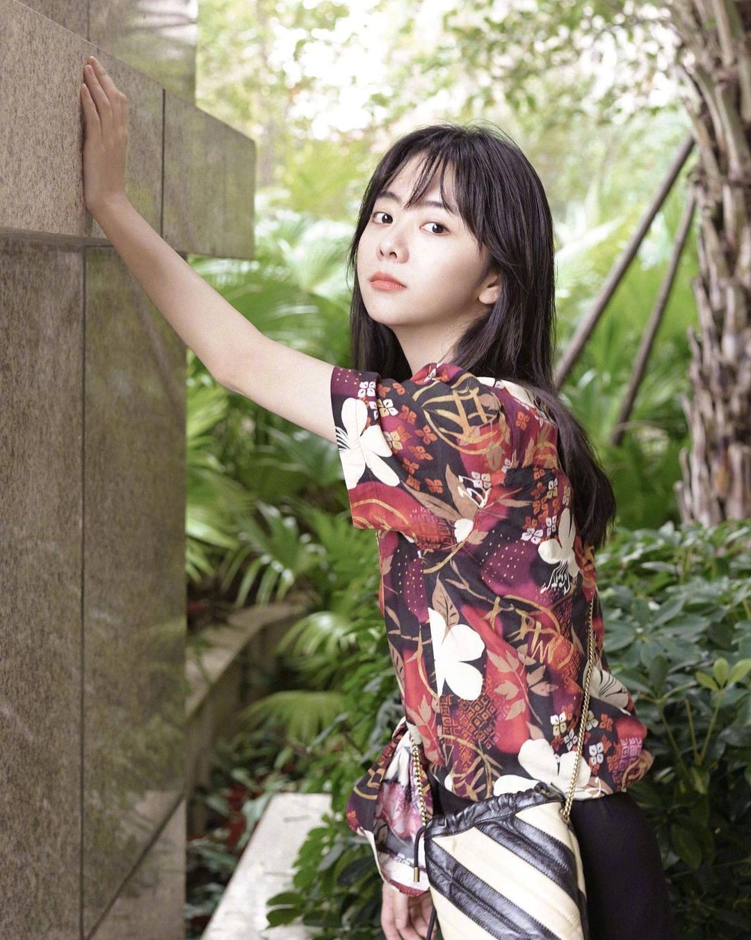 娱乐圈的白月光们有哪些共同点,娱乐圈白月光有哪些