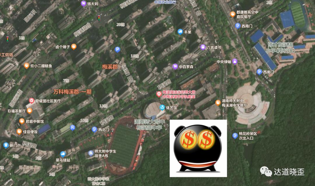 赶八方超钰龙，附中梅溪湖崛起还是吹气