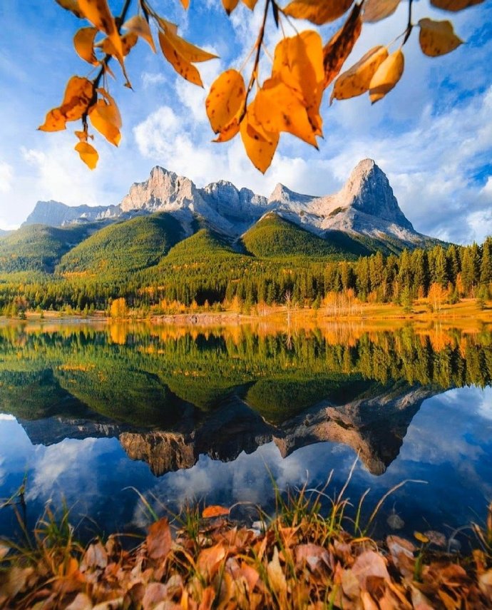 酒店式旅居养老,怎么选择酒店式养老