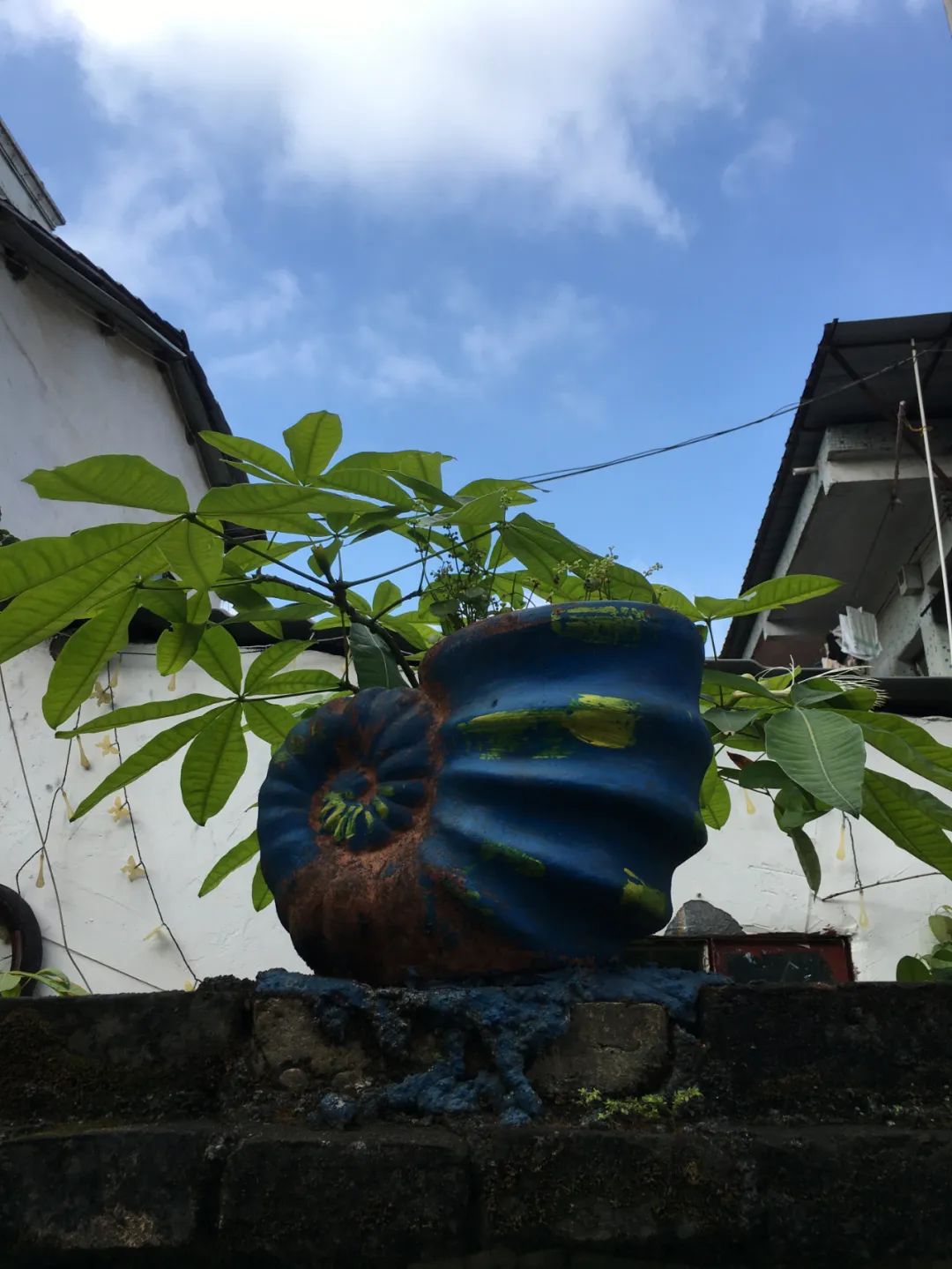 《旭光骑行深圳》第22站——龙华区观湖街道