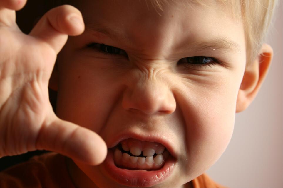 2岁的孩子动不动就发脾气、哭闹，还难哄？“唐僧念经”法了解下