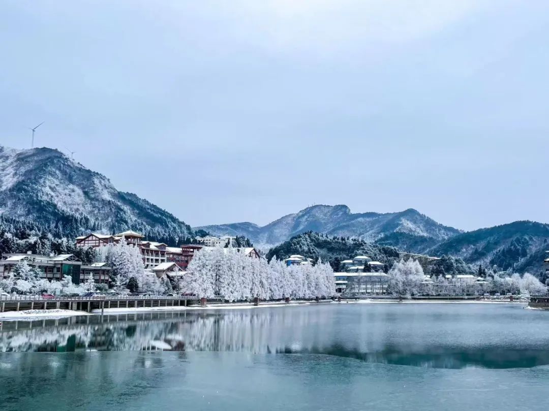 到咸宁看国宝过大年,离家45年的国宝回湖北咸宁过年