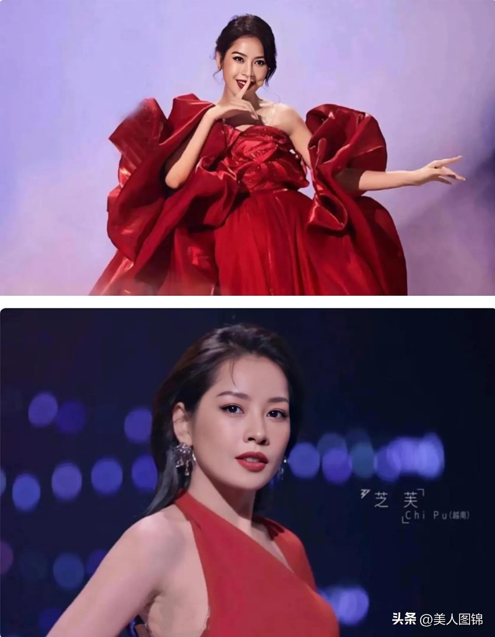 越南芝芙,芝芙越南