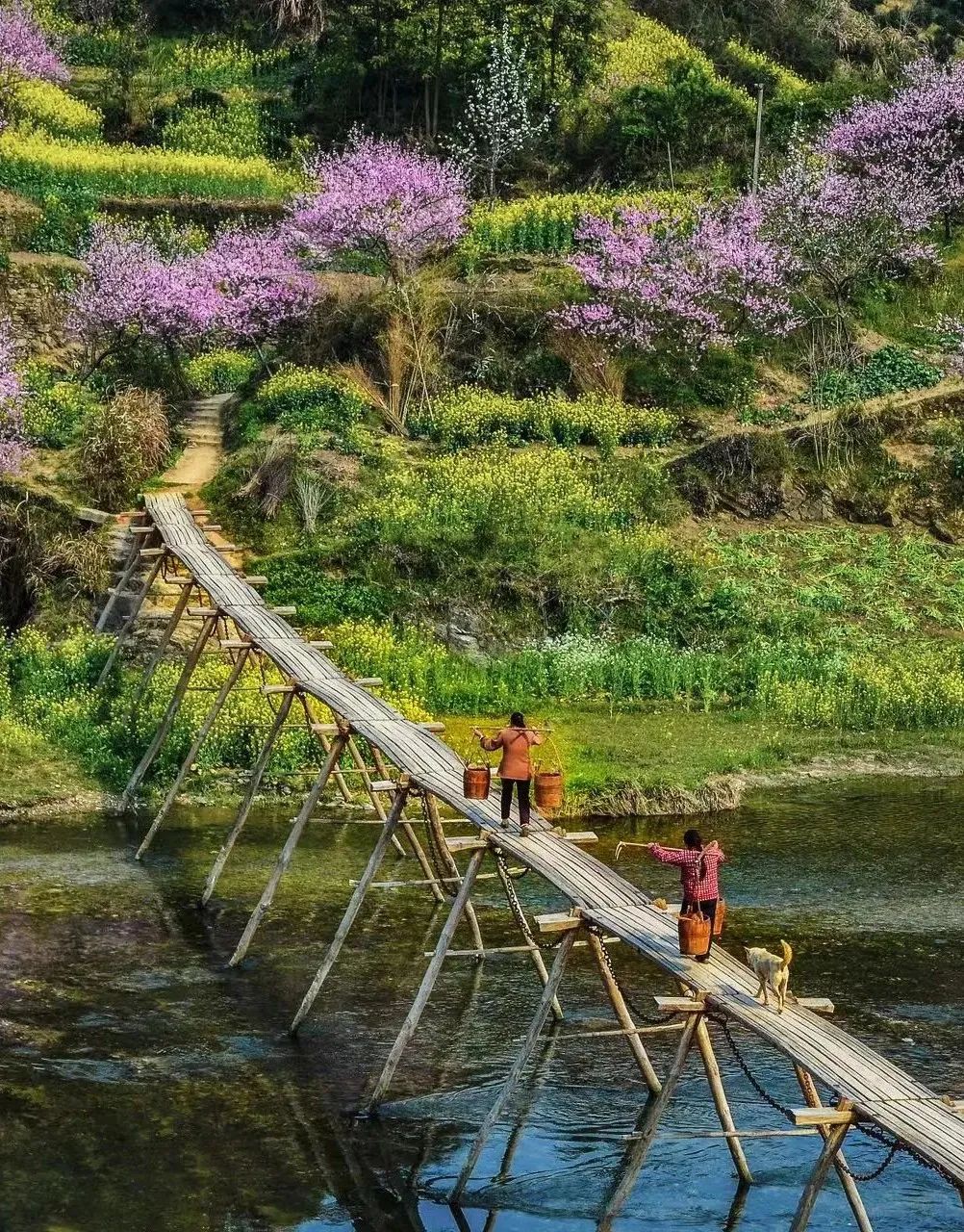 安徽黄山市旅游攻略推荐,黄山市夏季旅游线路攻略大全最新