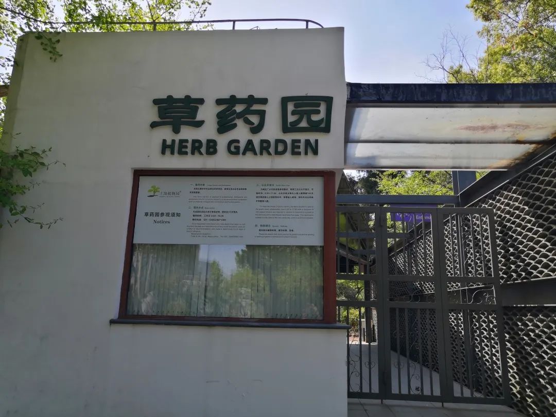 徐汇旅游攻略,徐家汇游玩景点推荐