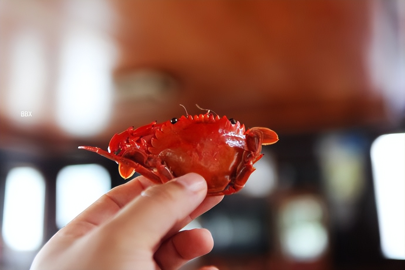 越南下龙，我在船上买海鲜