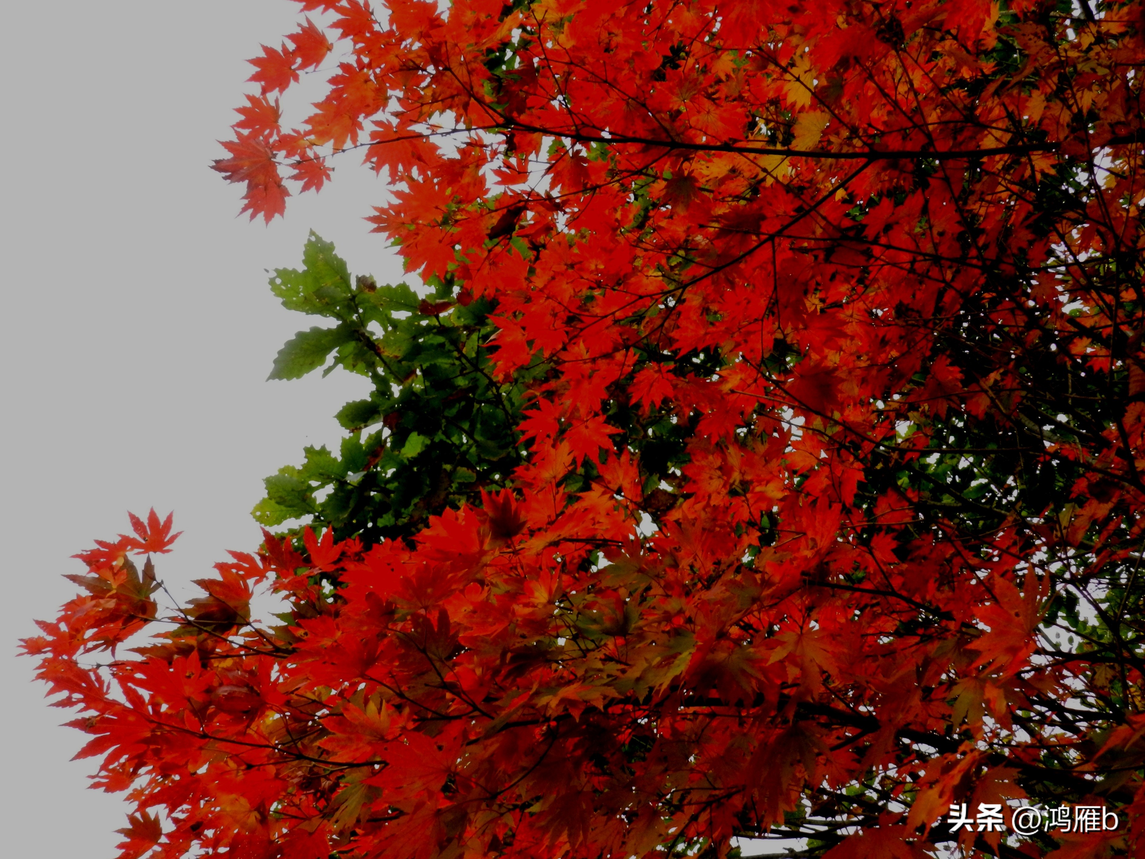 本溪温泉汤沟门票价格,本溪花溪沐枫雪温泉小镇