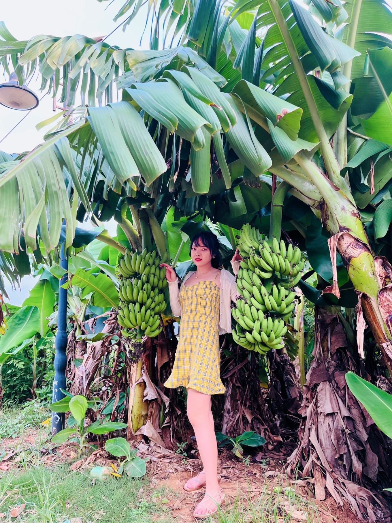 北海之旅不枉此行,夏天的北海之旅