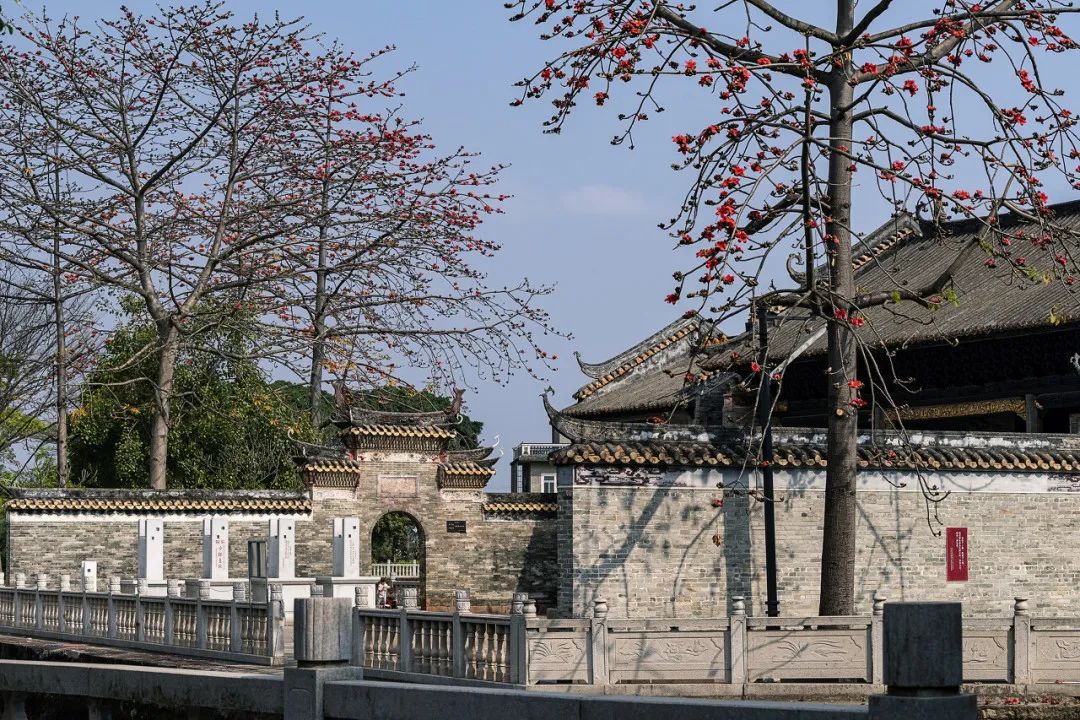 广州最值得去的古镇,适合周末打卡的广州绝美古镇