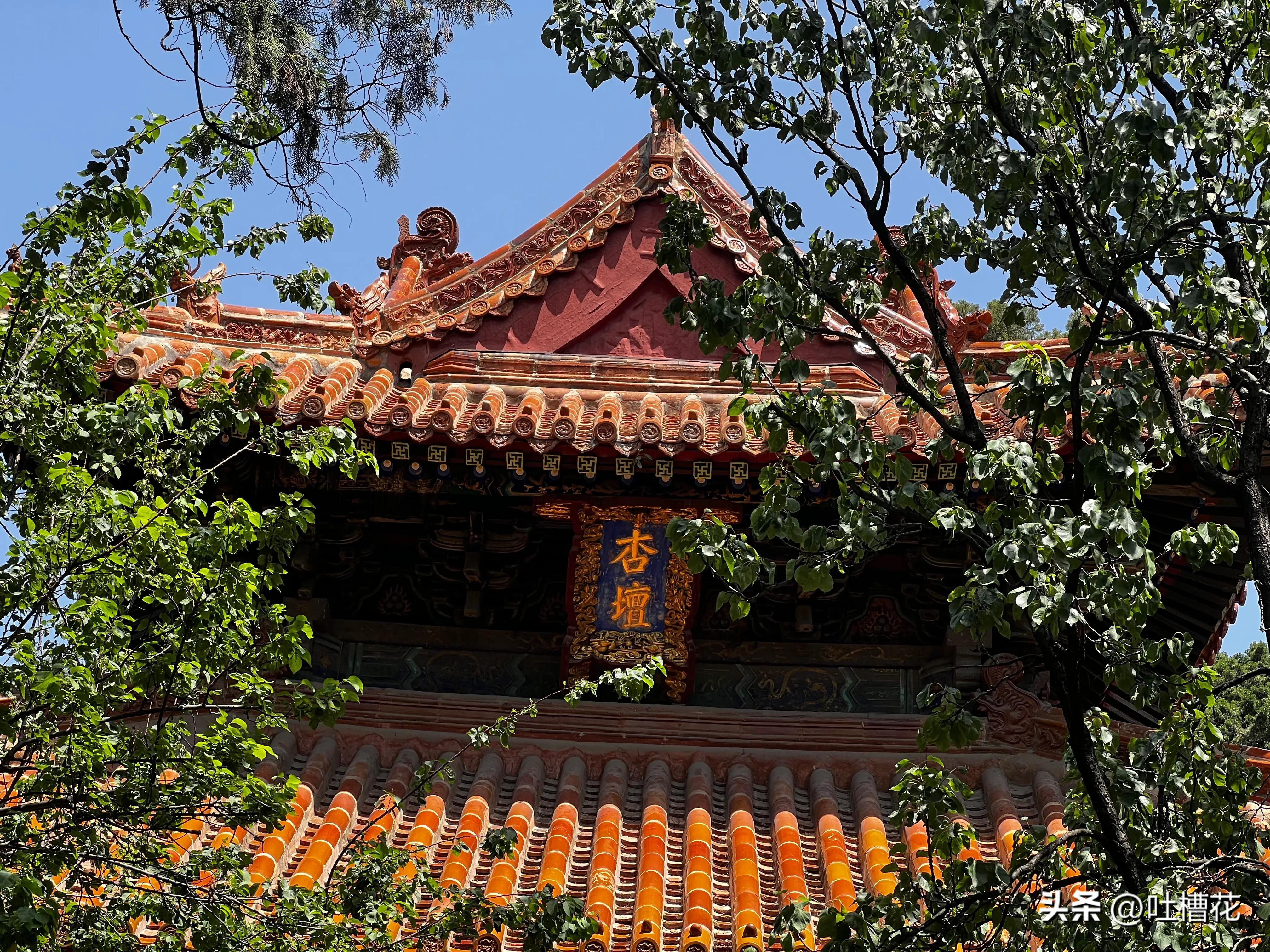 37℃，高温下逛完孔庙，孔子姓啥