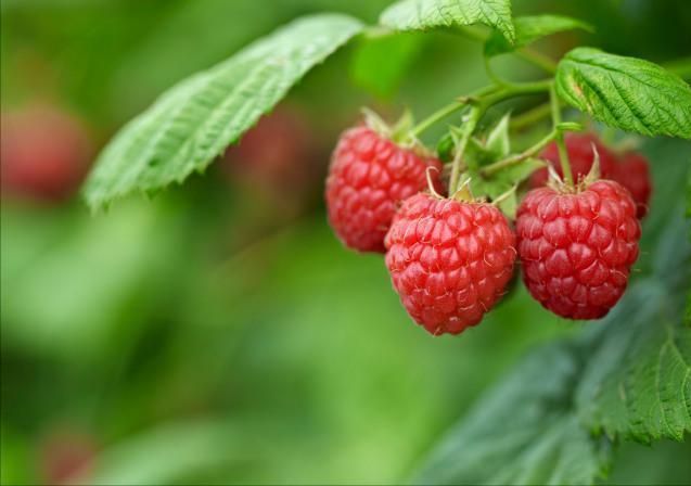 60年代的中国照片,607080年代经典照片图文