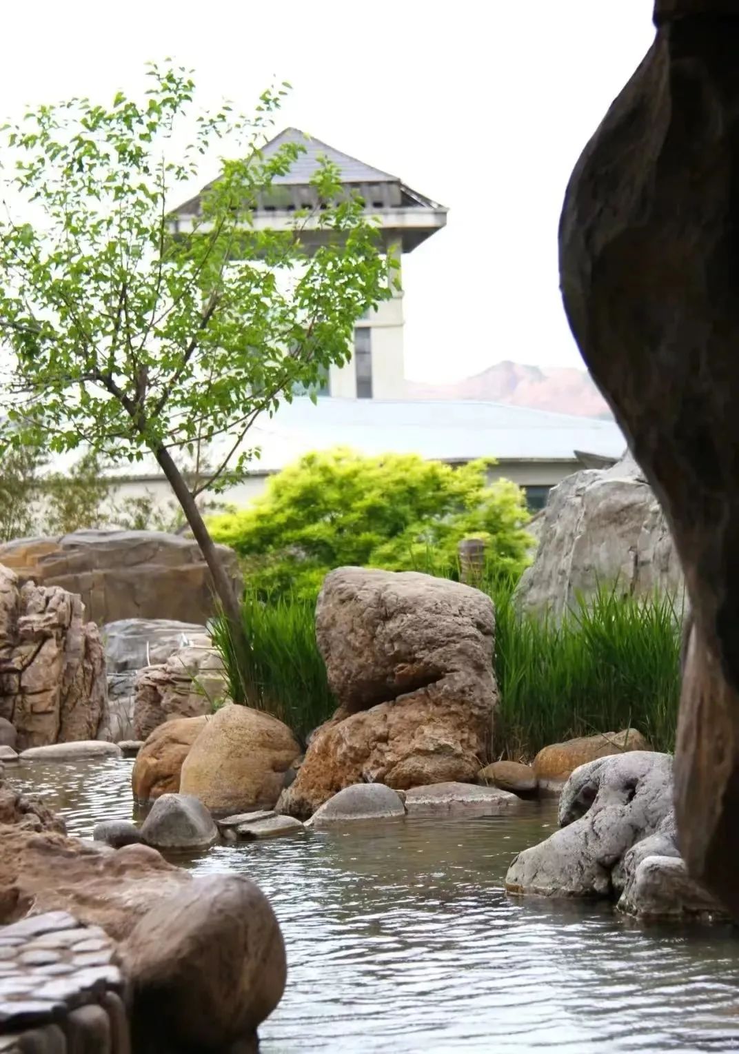 冬季泡汤体验感悟,冬季泡汤体验