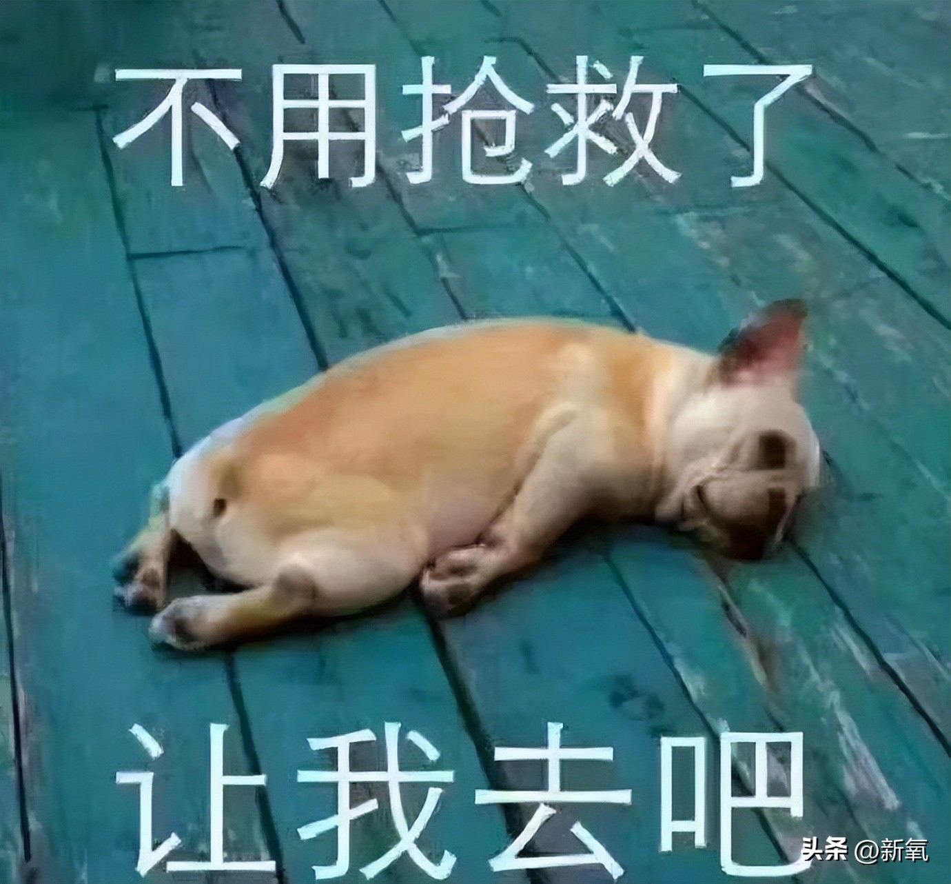 胸上有一颗痣会危险吗,胸上突然长了一颗痣什么征兆