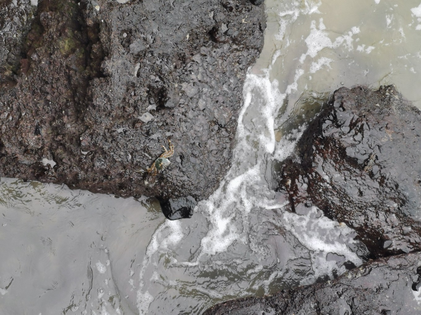 北海是一座令人向往的城市吗,北海是浪漫的城市