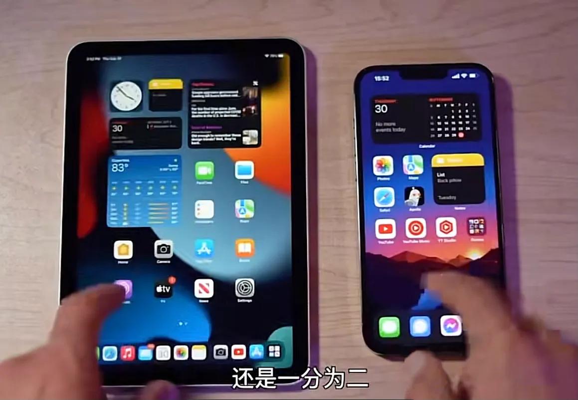 两部苹果手机如何区分哪个好用,两款苹果在一起有什么功能