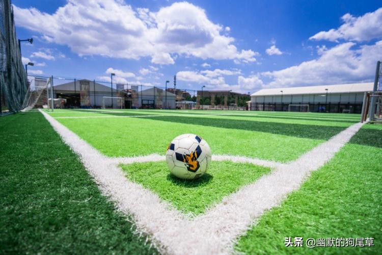 为什么足球是世界第一运动文章,足球和篮球哪个是世界第一运动