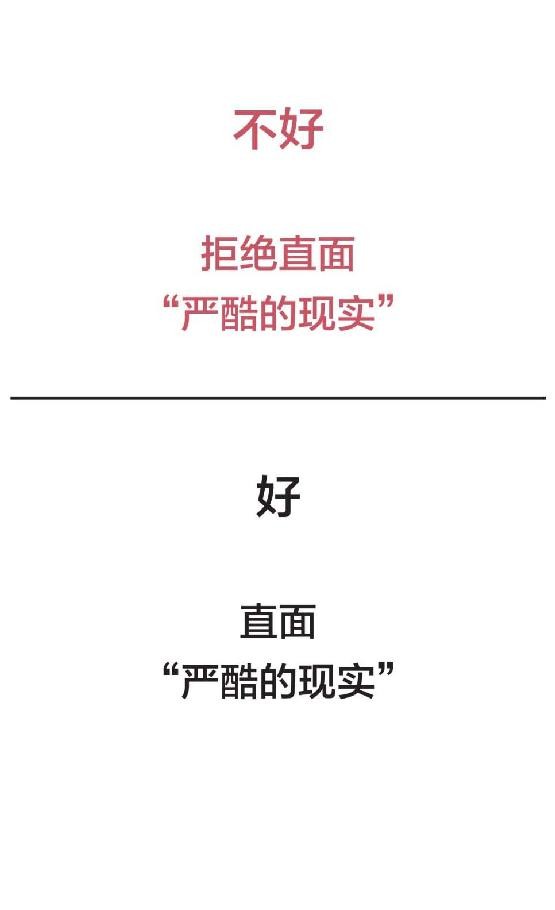 原则一书,沙雕动画