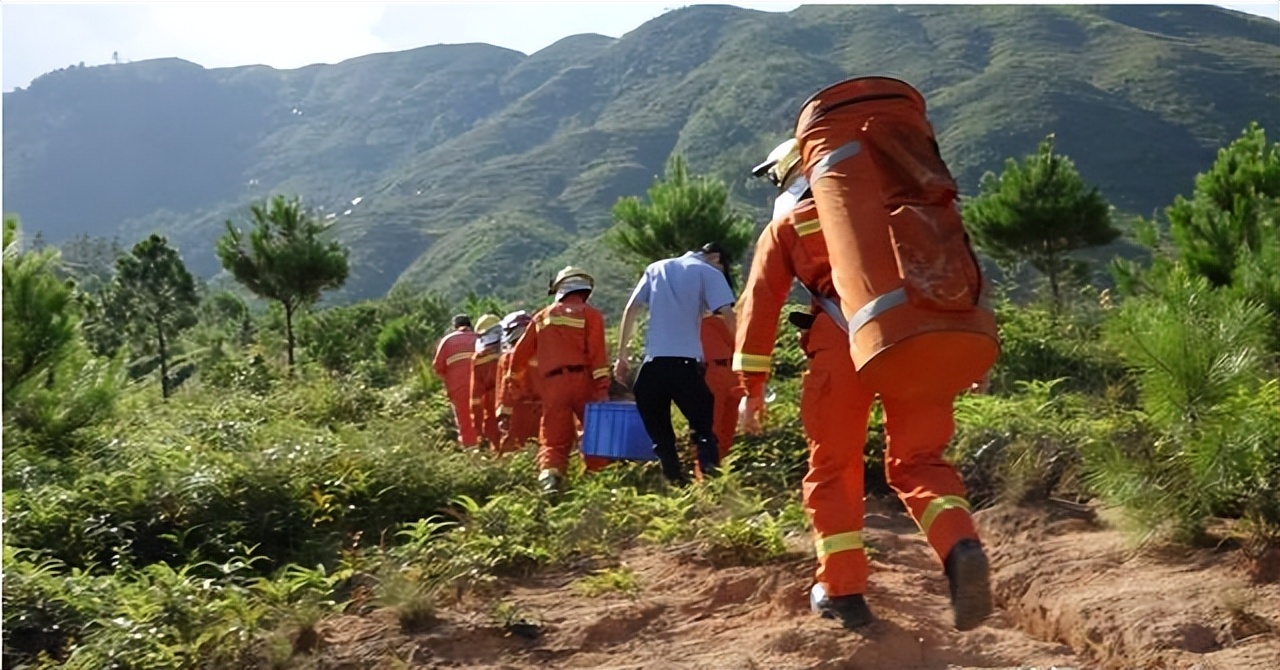 福建海边出现神秘金片，遭渔民哄抢一空，专家调查后：金片不简单