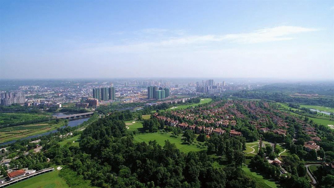 蒲江绿色生态屏障,蒲江县森林资源保护