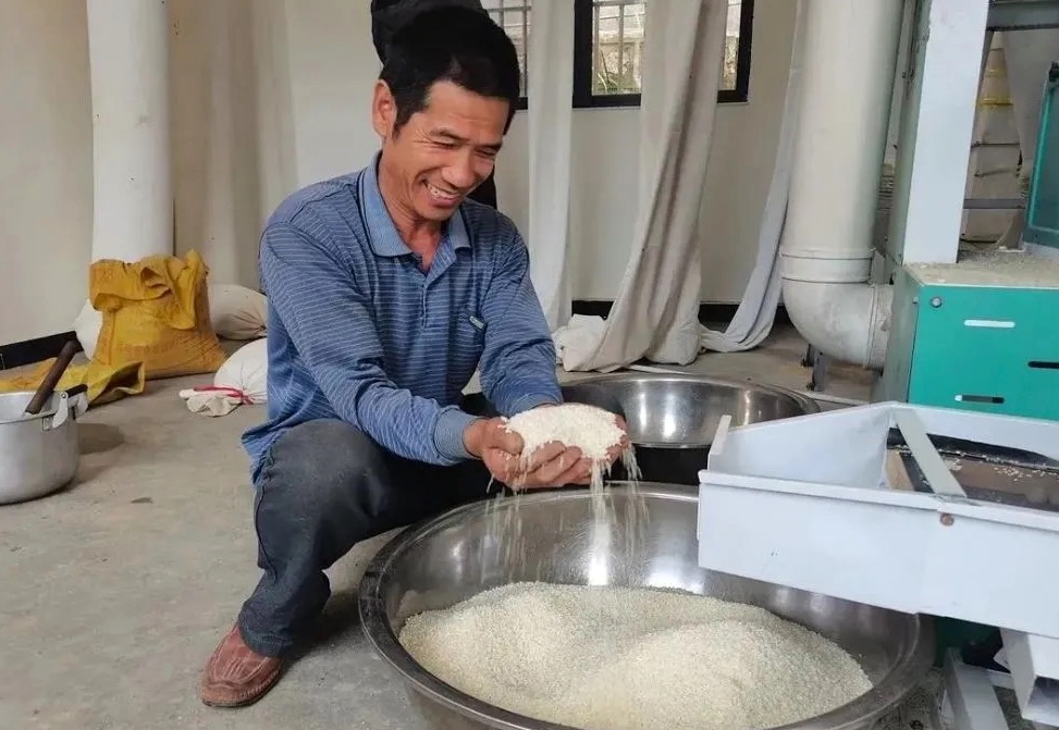 315香精大米事件梳理图片,315曝光的香大米是怎样处理的