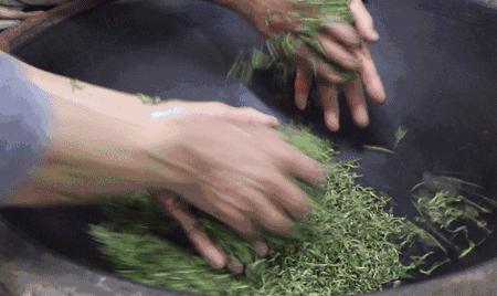 云南最好的10大茶,云南最好的十种茶