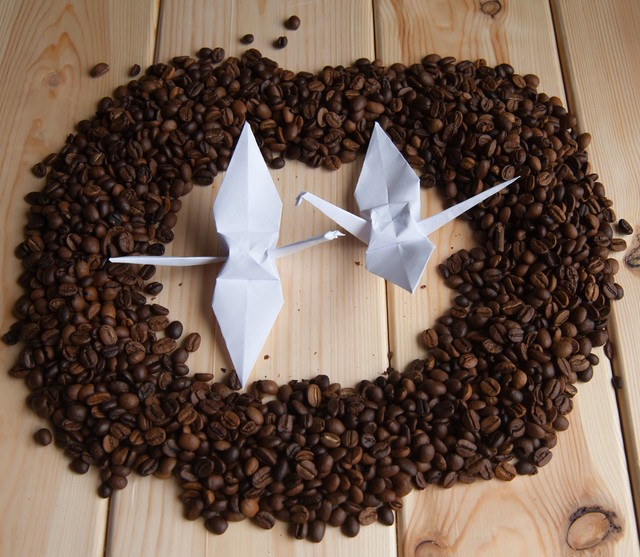 咖啡因杀虫剂,咖啡因天然杀虫剂