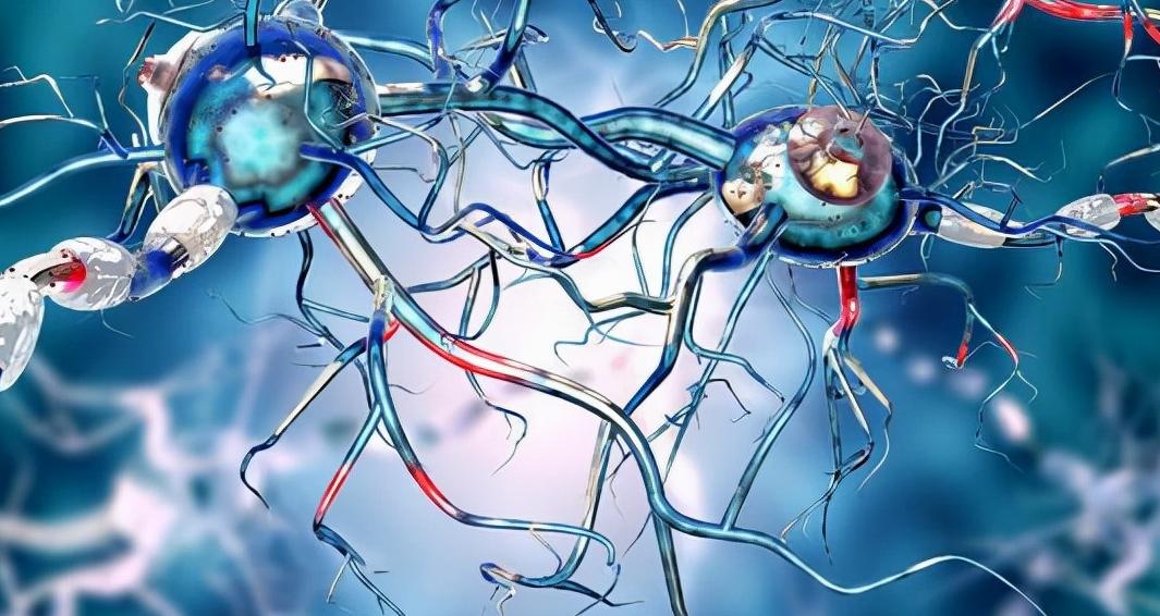 药店里几块钱的维生素b2有用吗 (几块钱的维生素b2有什么用)