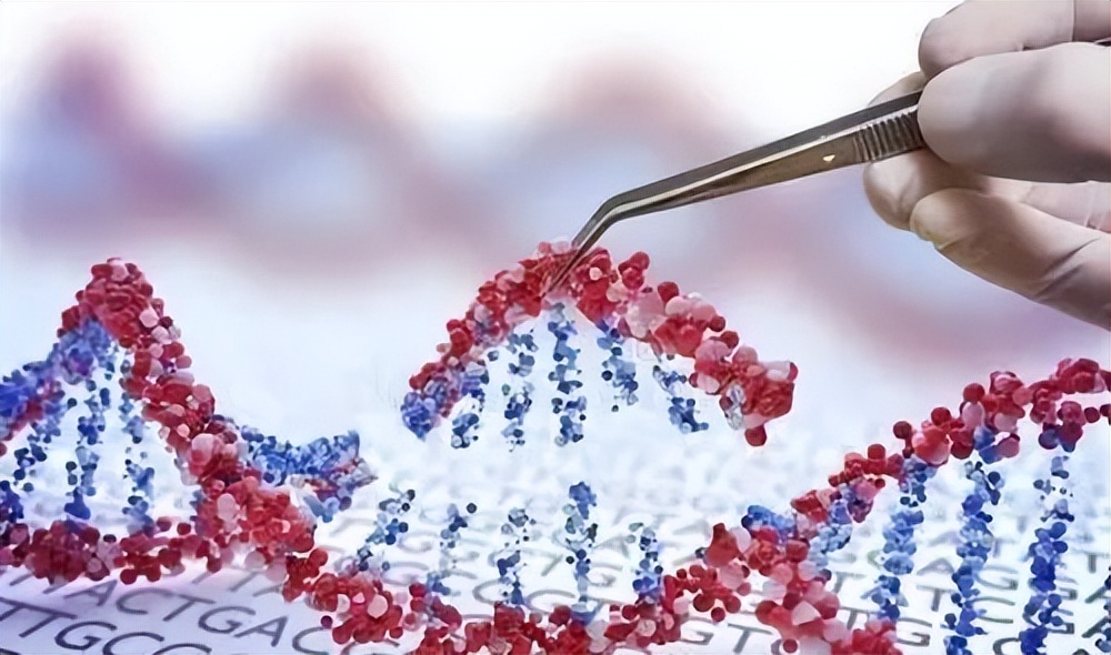 白血病融合基因分型检测为阴性,确诊白血病的基因检测