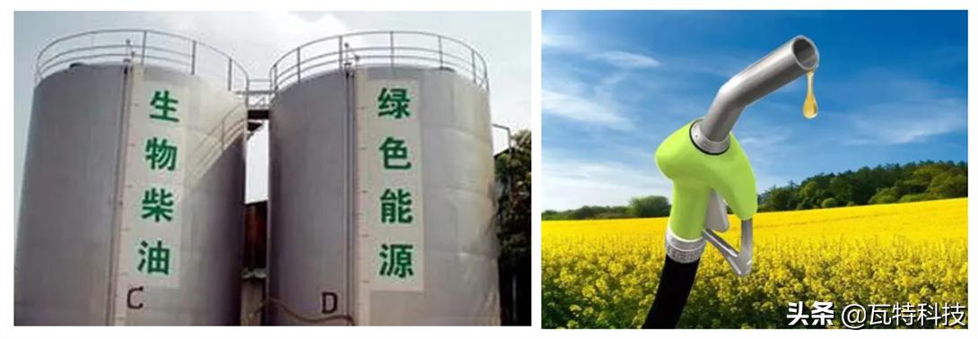 提取生物柴油的最佳原料,生物柴油提炼全过程