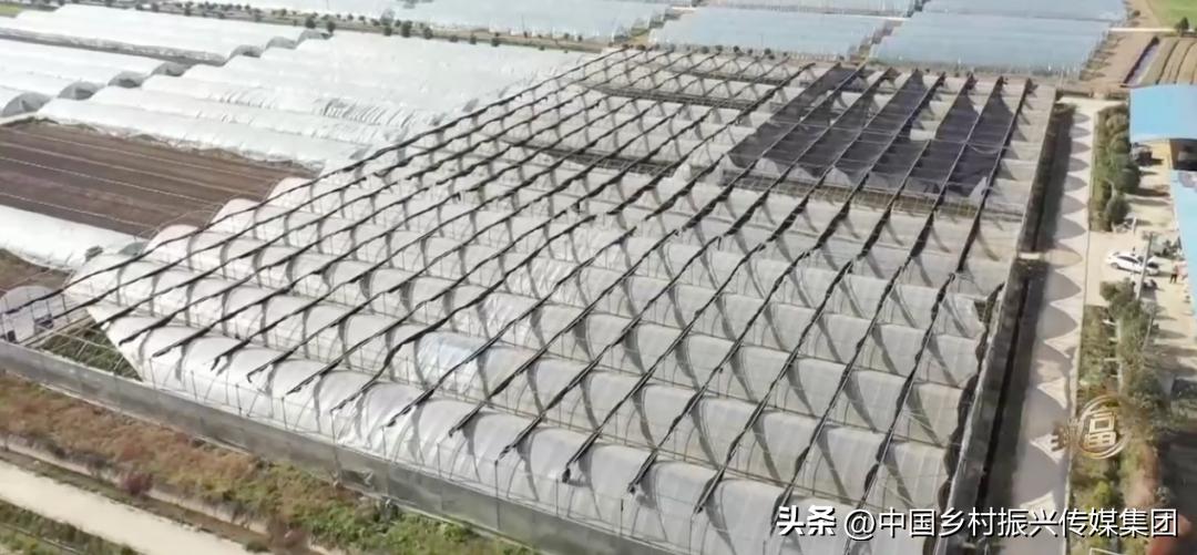 乡村振兴扶持项目在哪里申报,2023年乡村振兴项目补贴申报指南