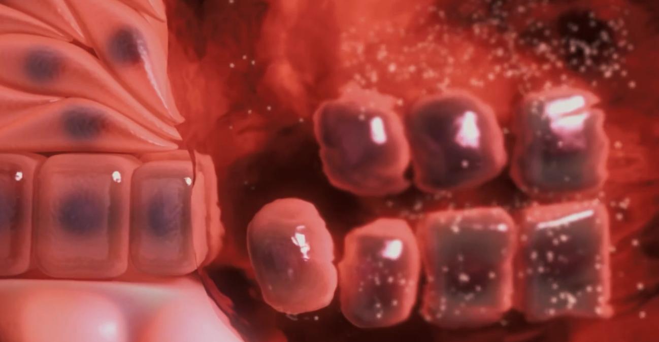 人体最大的器官是不是肝脏,人体最大的器官是指什么百科