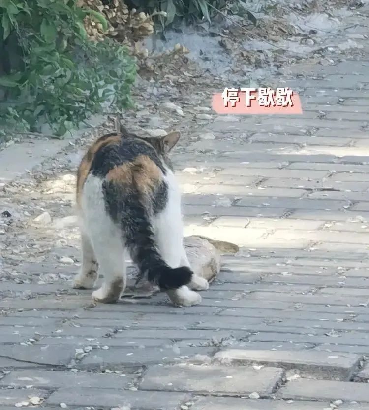 闺蜜送了一个房子,闺蜜送给我一个房子