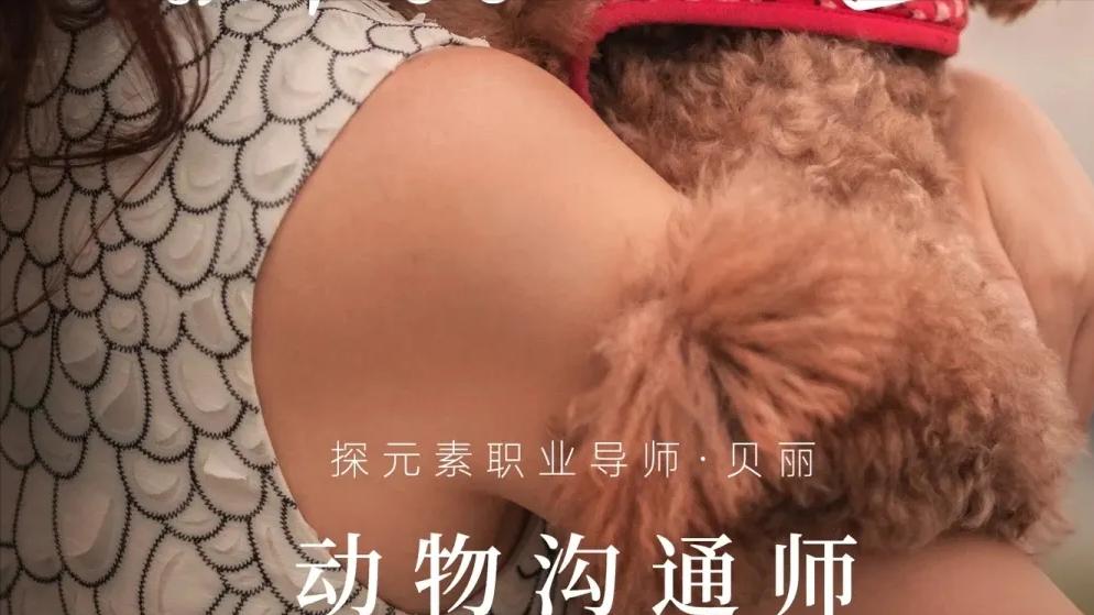 100种新兴职业介绍,100种新职业小众职业