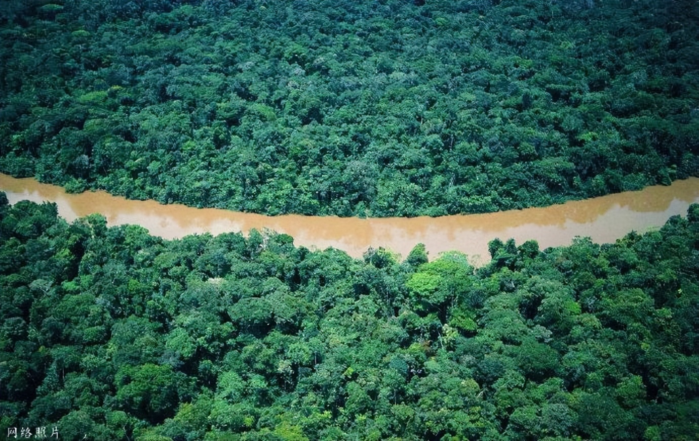 南美四国之旅,巴西亚马逊之行