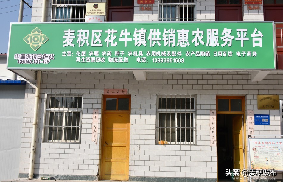 供销社创新为农服务手段,强化县级供销合作社统筹运营能力