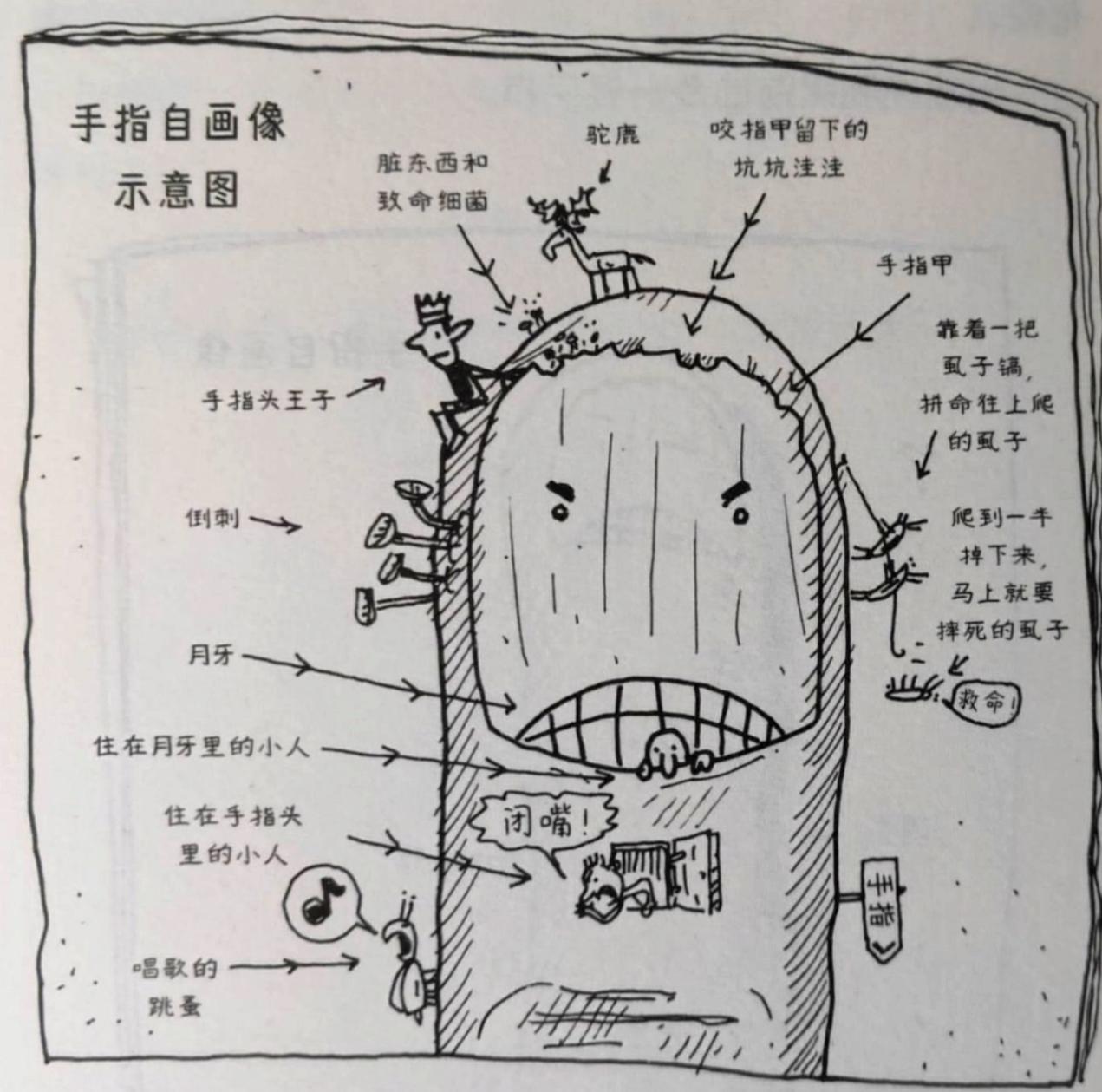 适合四岁孩子的课外阅读,儿童6-12岁课外阅读