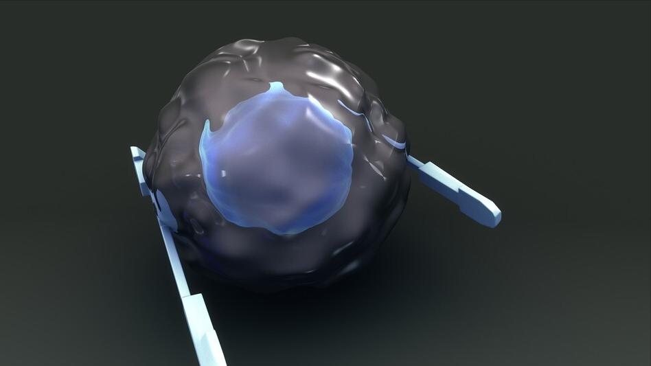 尿酸高吃的药对人伤害大吗,非布司他降尿酸后怎么保持低尿酸