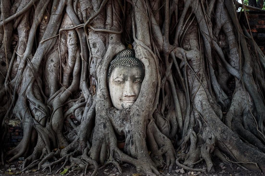 最真实的泰国图片,泰国十大风情图片高清版