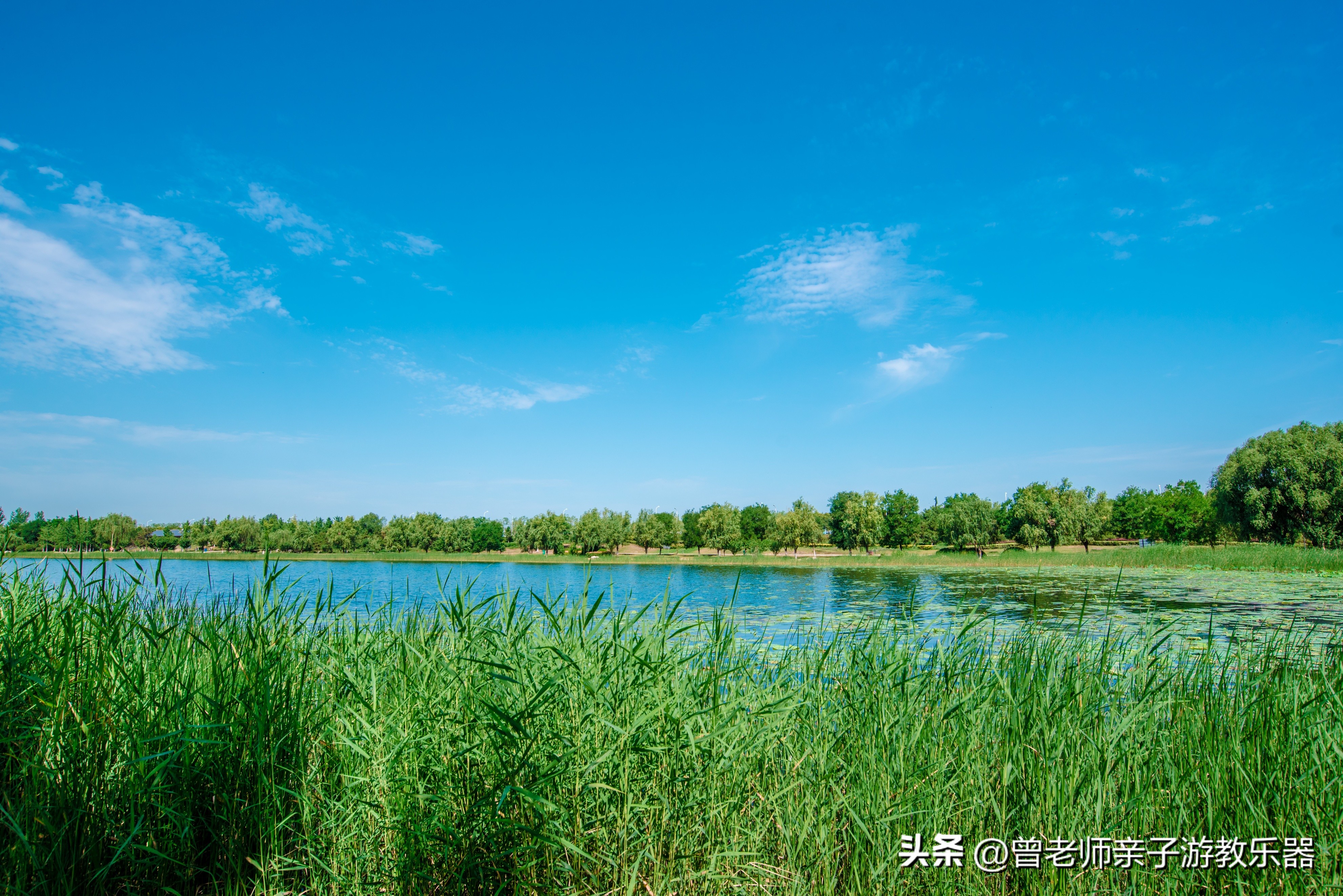 西安秋天野营免费地点,西安秋天露营地免费地点