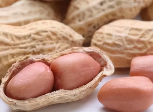 中医说年货·坚果|零食届的“营养担当”，价值和食用禁忌你知道吗～