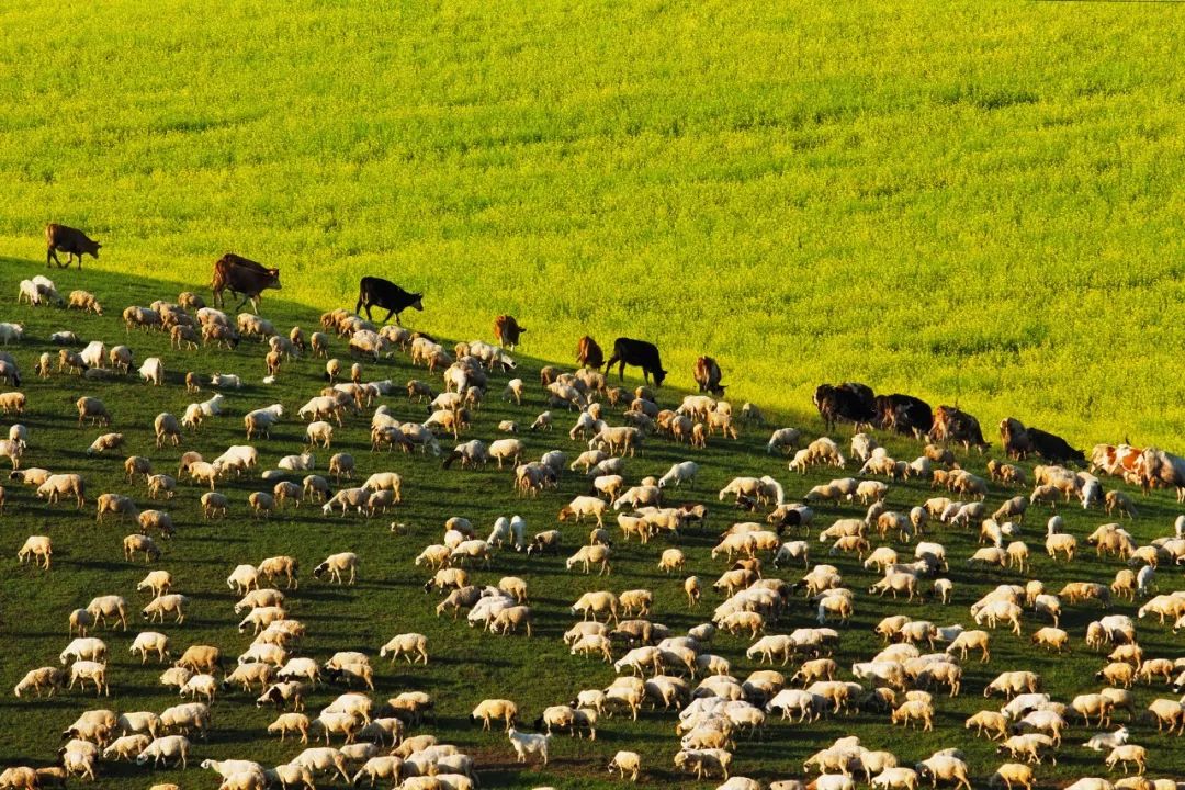 良心推荐夏日风光绝美的避暑胜地,夏季避暑胜地推荐4天