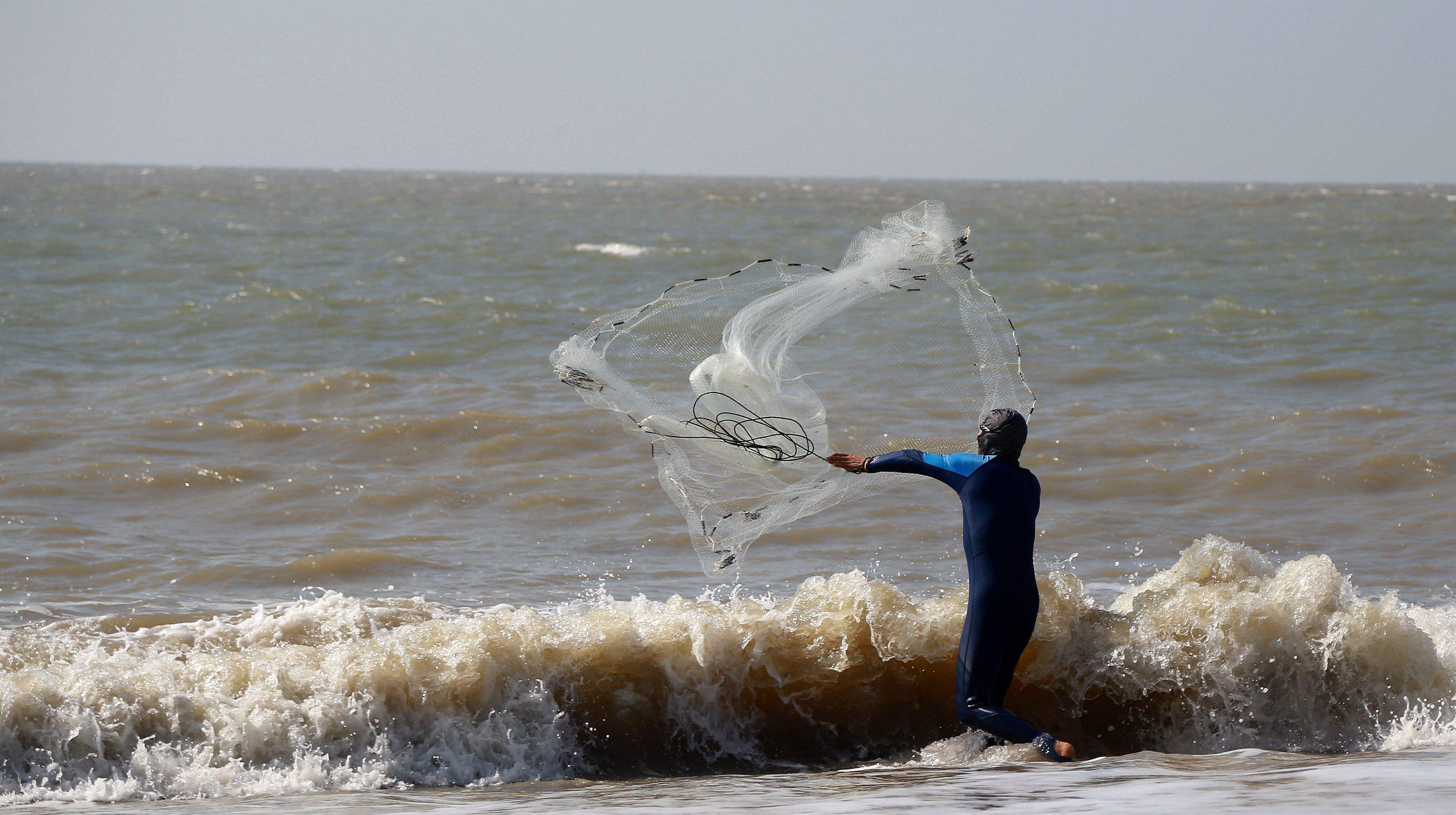 红鱼为什么泛滥成灾,红鱼被吃了