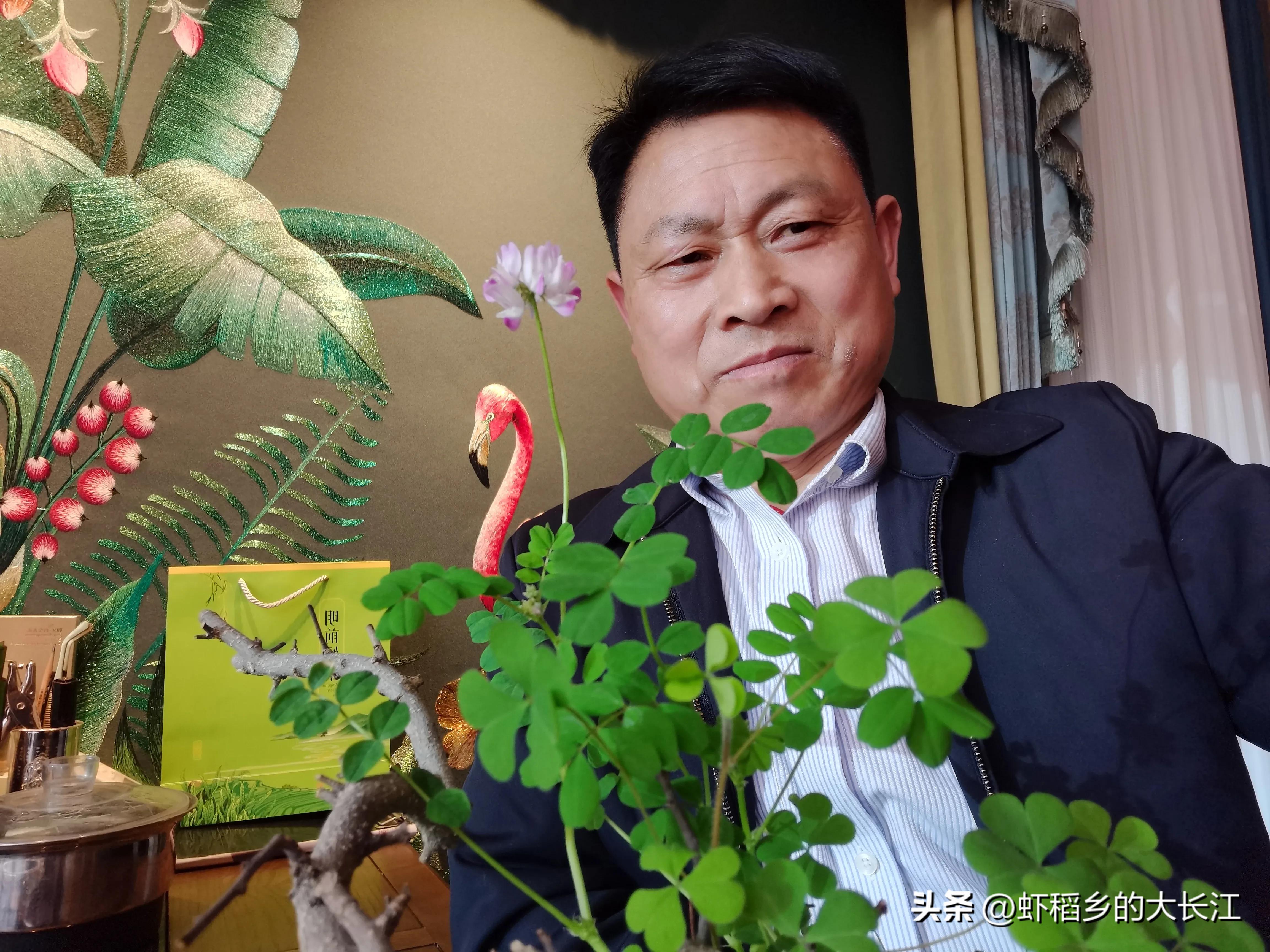 春雷一声响祖国好风光,春雷一声响完整版