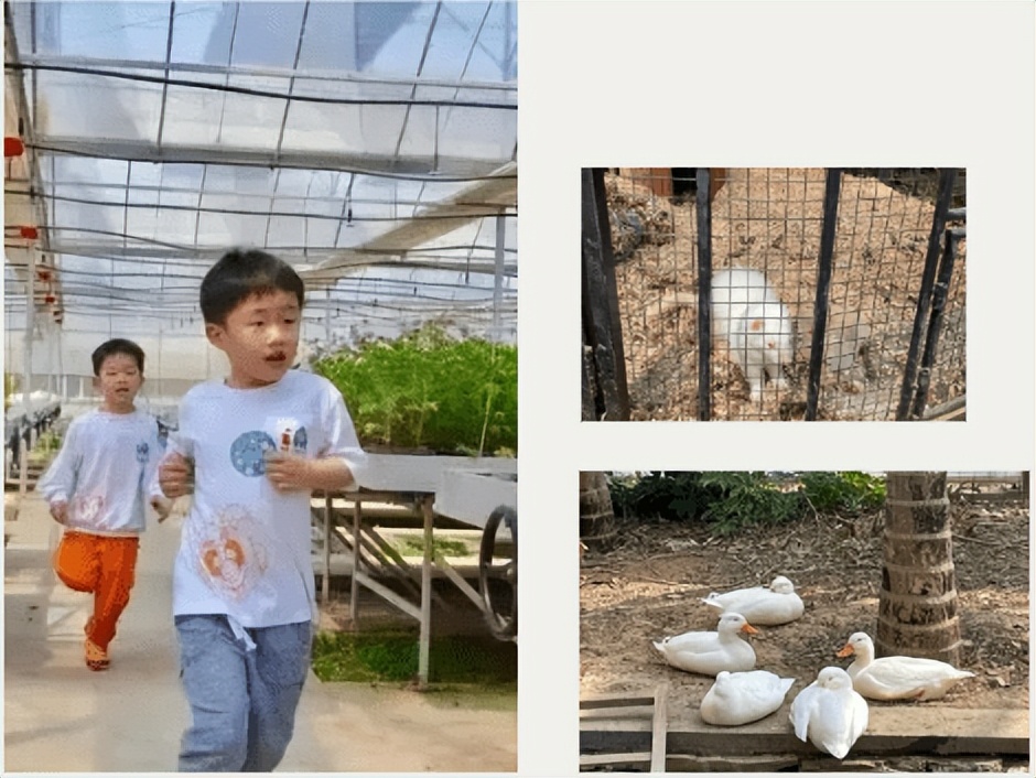 端午溧阳一日游必去景点,茅山五一旅游详细攻略