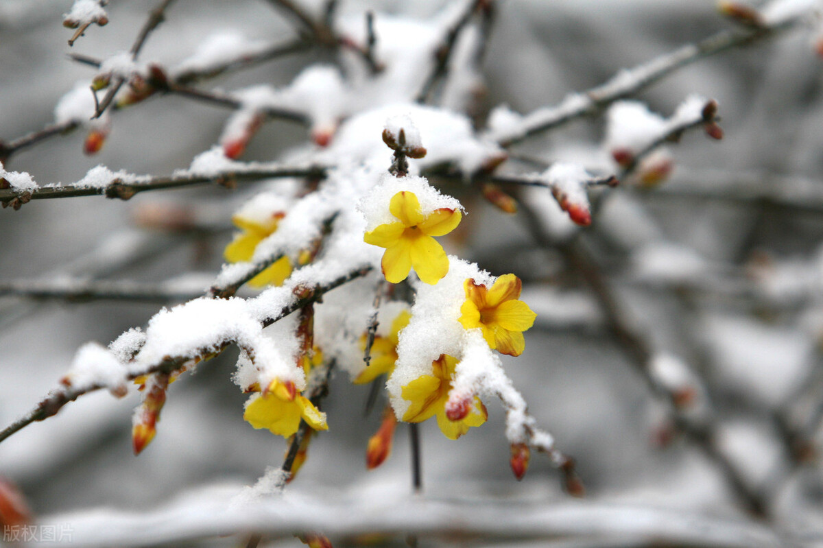 打了窝鱼口不好还要继续打窝吗,打了窝不发窝