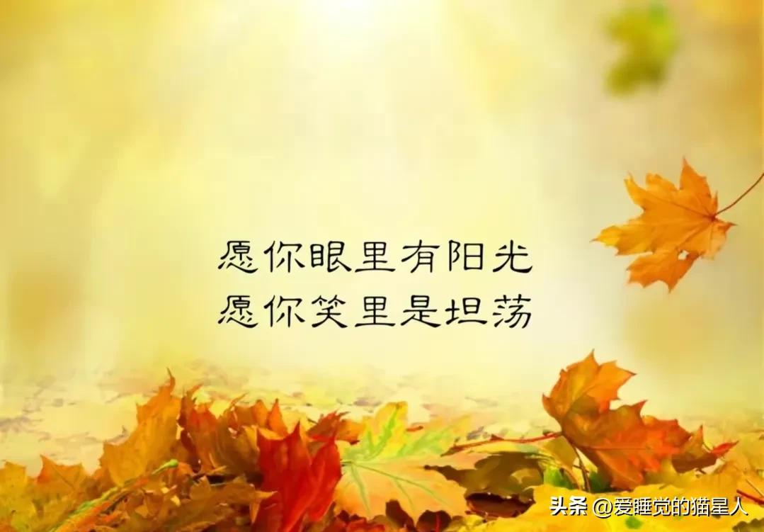 真正爱上一个人是从怕失去开始的,我不会爱上任何人因为我害怕失去