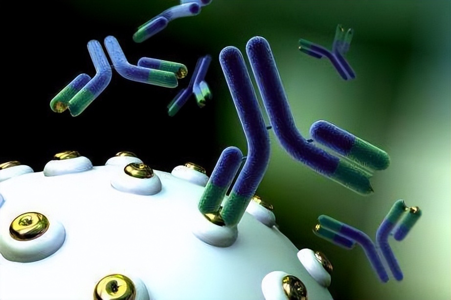 全身小疙瘩瘙痒是乙肝恶化了吗,乙肝抗病毒后皮肤瘙痒怎么回事