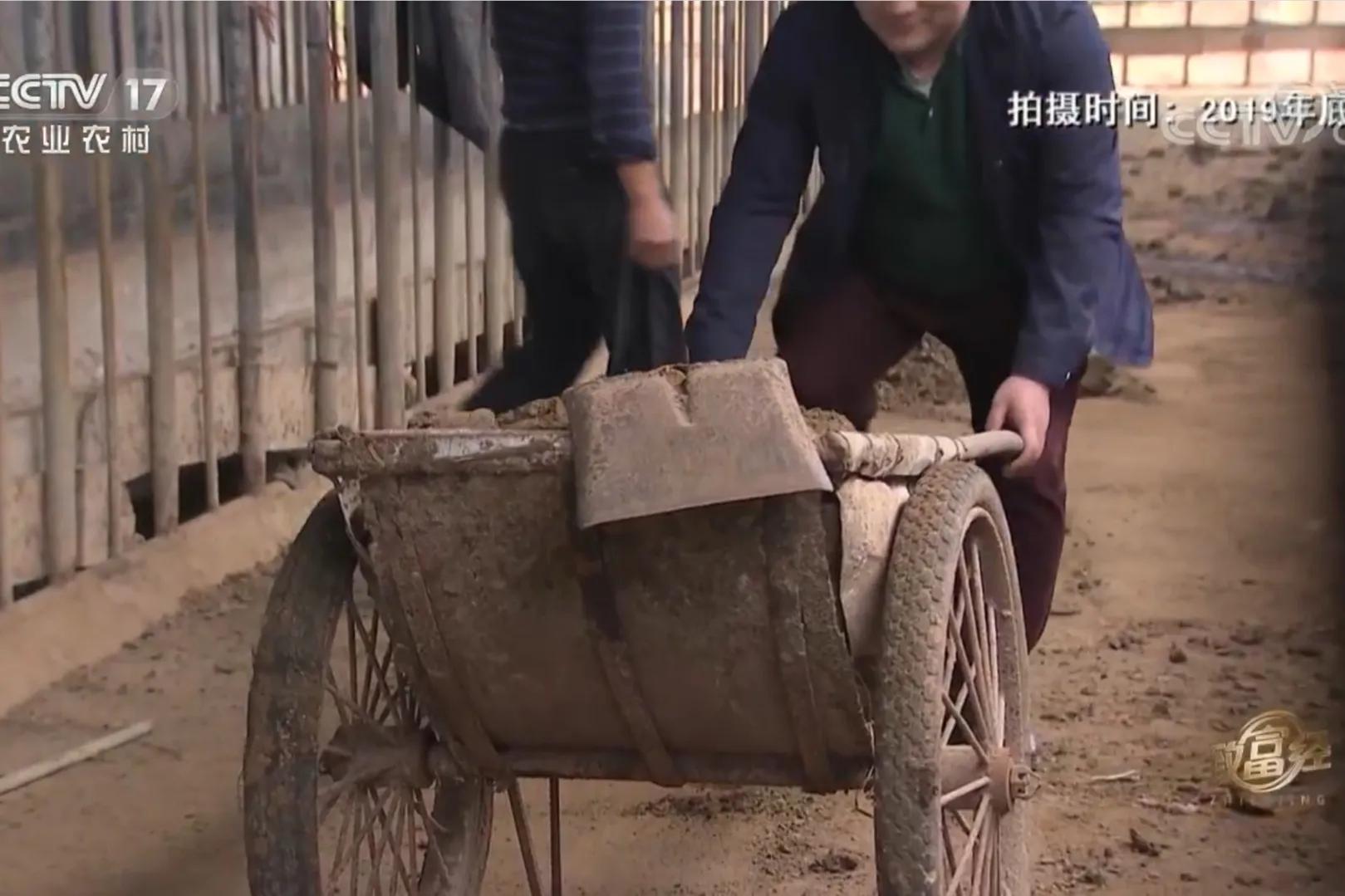 愚公移苍山荒山化作聚宝盆,200亩荒山变成聚宝盆