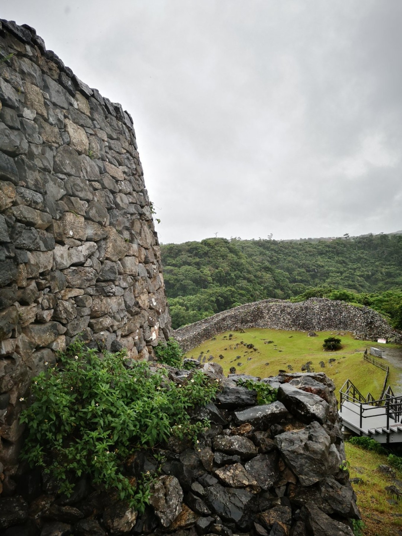 暑期档2019年,2019年暑期档